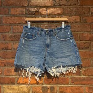 Abercrombie & Fitch The Baggy Low Rise Distressed Denim Shorts Size 4